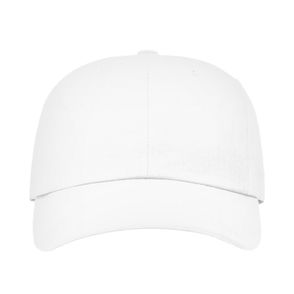 Richardson Sustainable Ashland Dad Hat