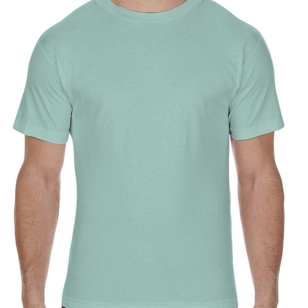 Alstyle 6.0 oz., 100% Cotton T-Shirt