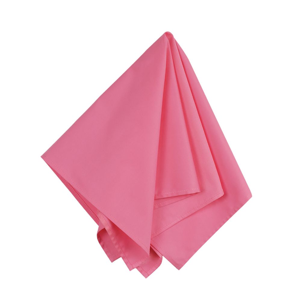 Big Accessories Cotton Bandana