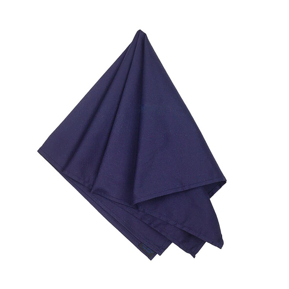 Big Accessories Cotton Bandana