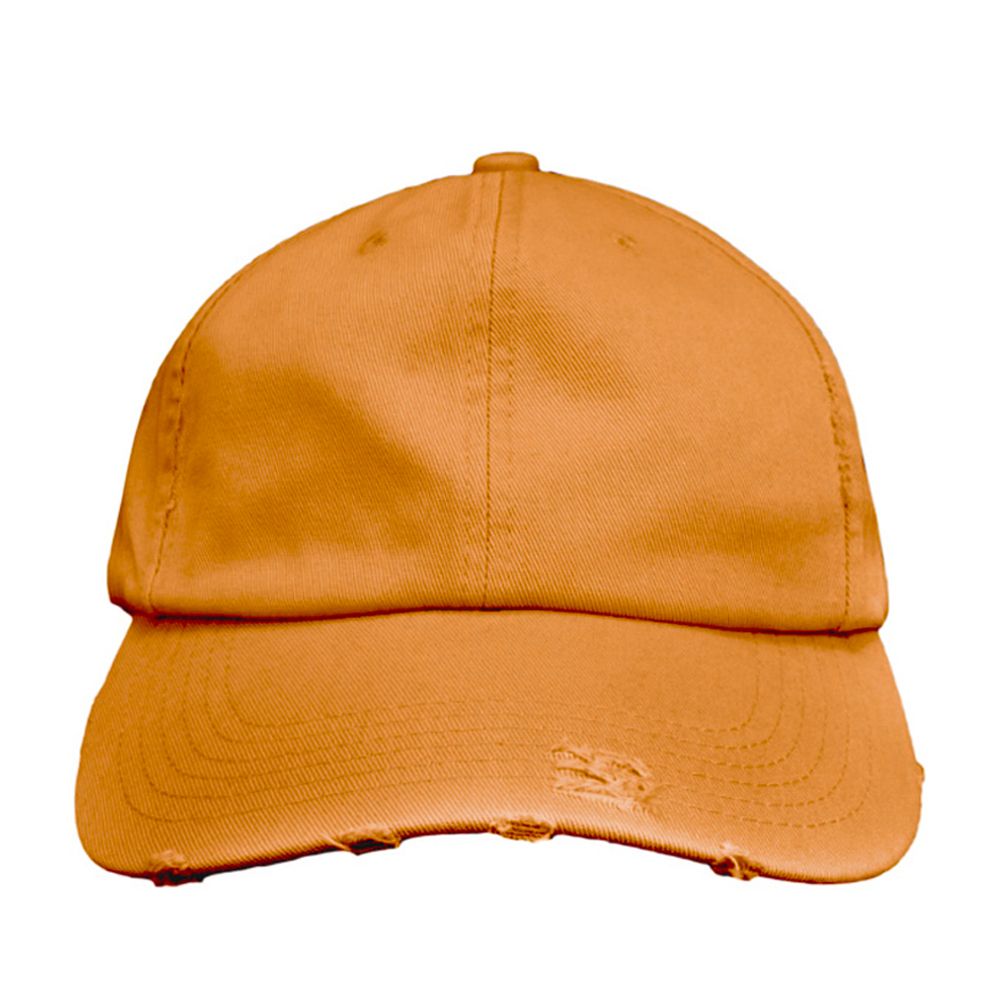 District Distressed Cap