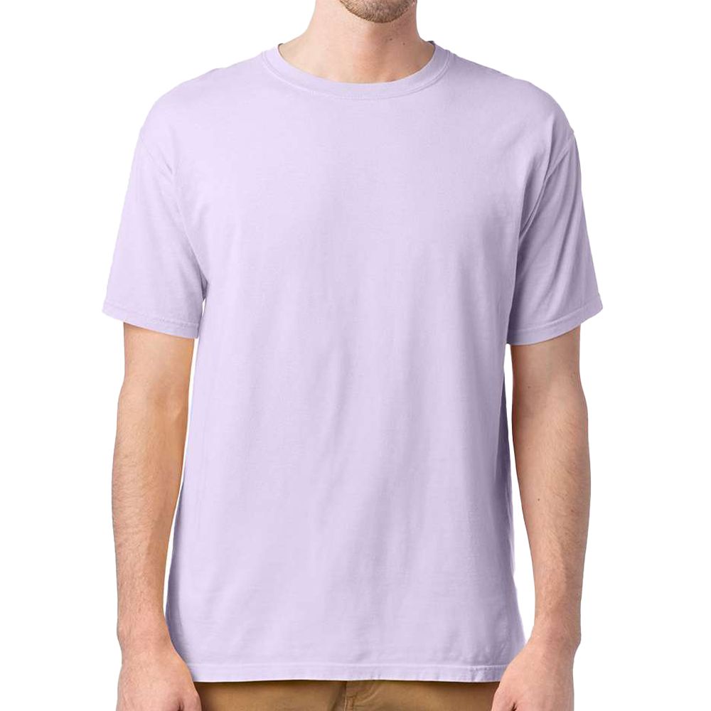 Hanes ComfortWash 100% Ringspun Cotton T-Shirt