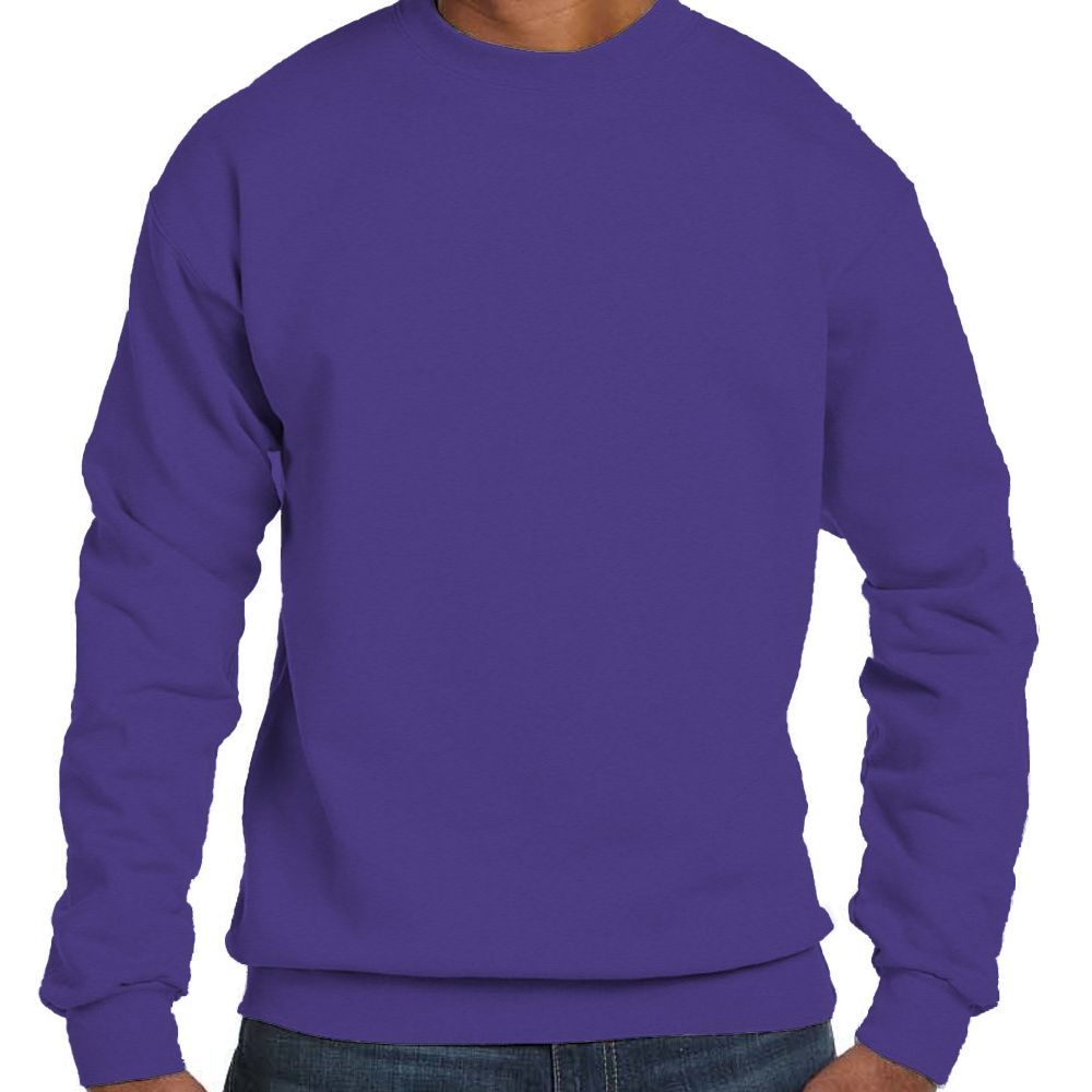 Hanes EcoSmart® Fleece Sweatshirt