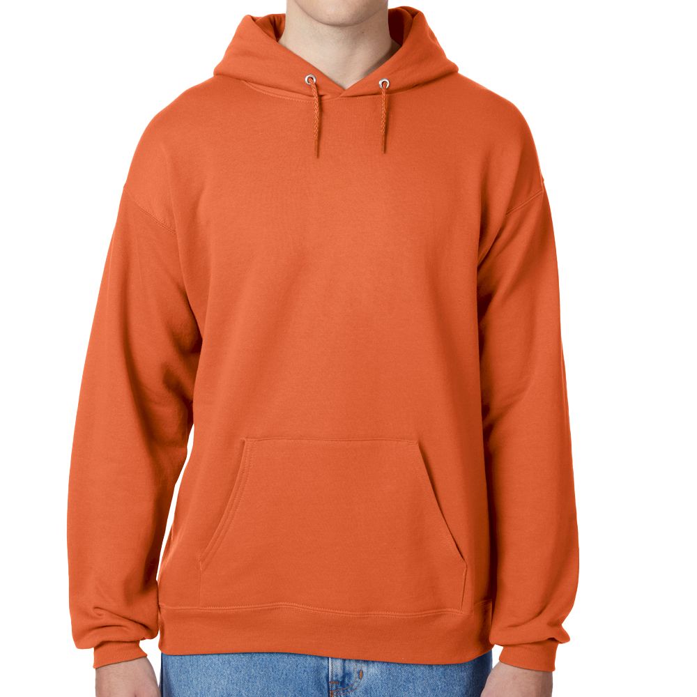 Hanes EcoSmart Hoodie