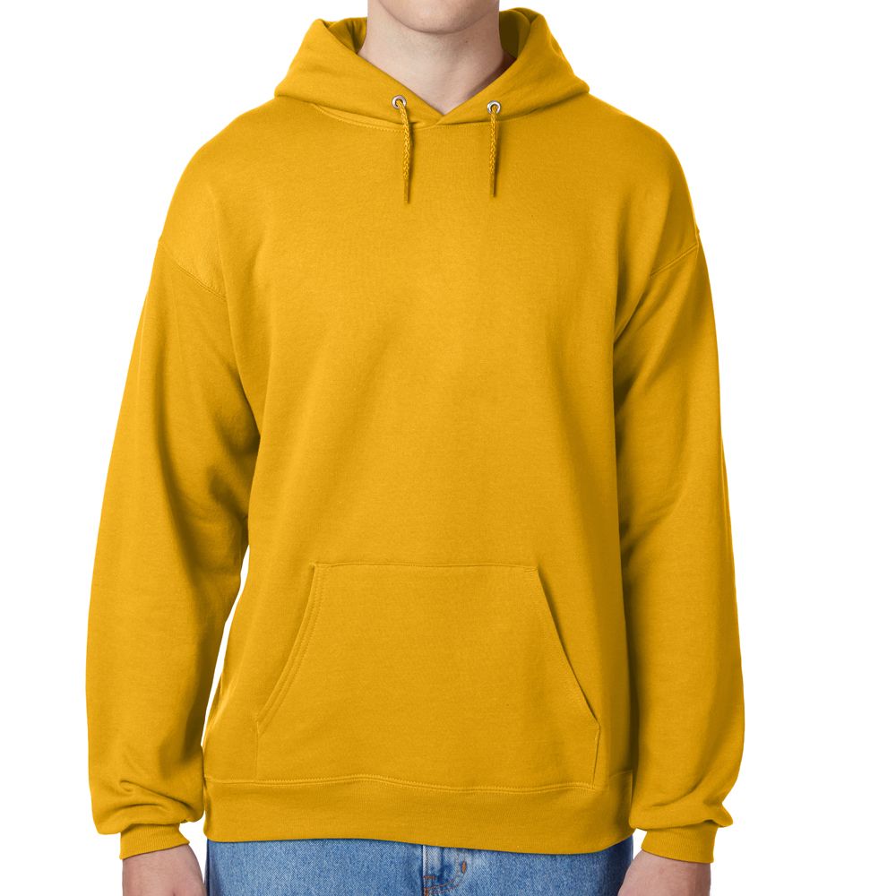 Hanes EcoSmart Hoodie