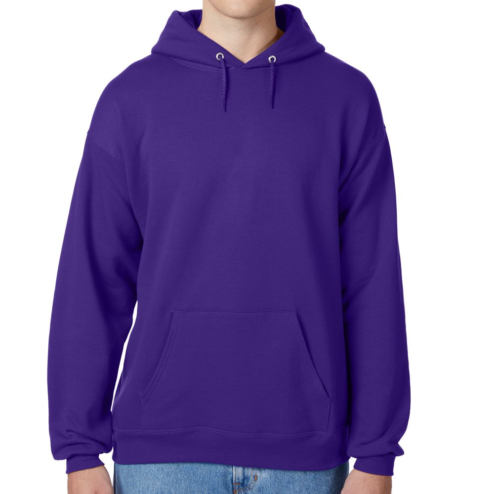 Hanes EcoSmart Hoodie