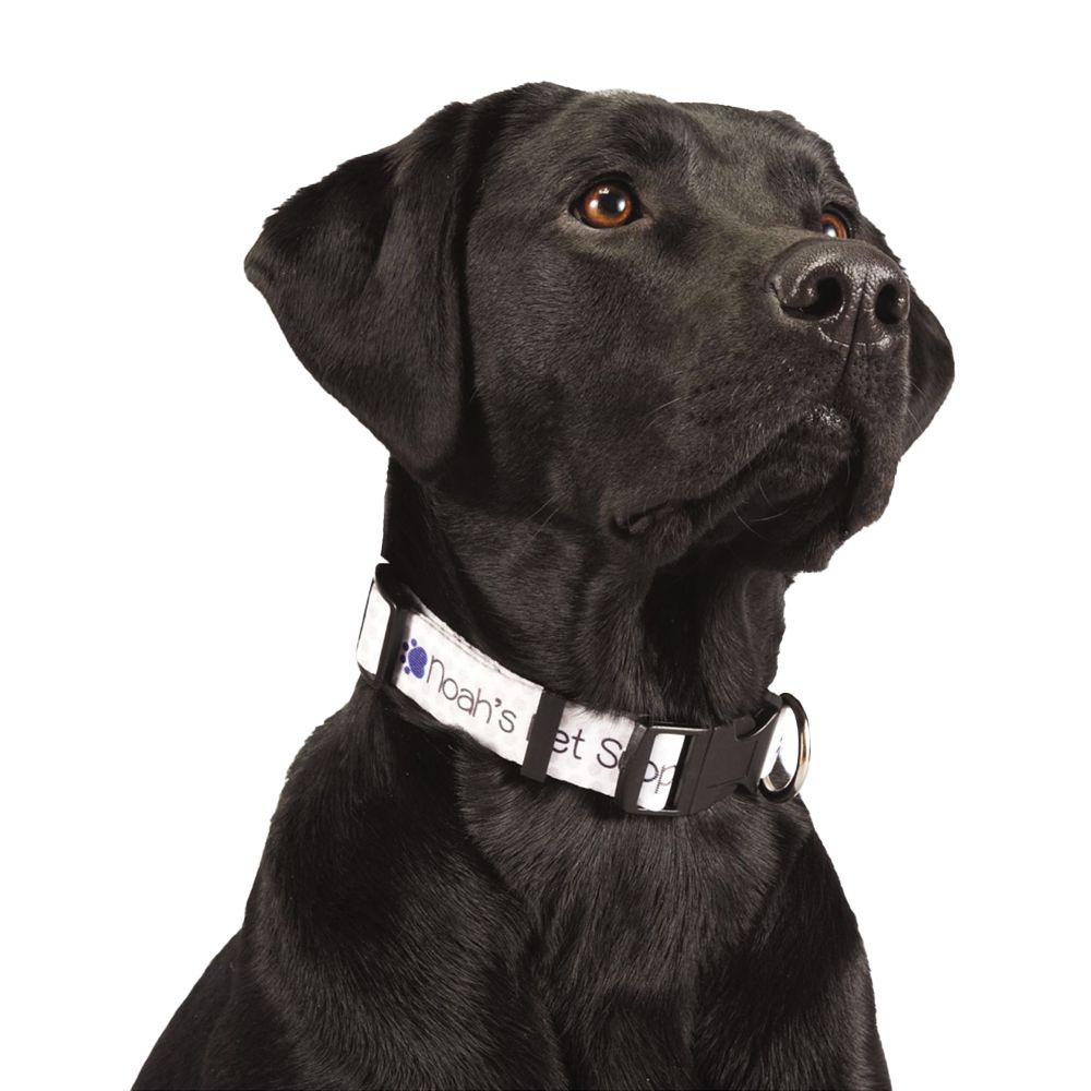 "Full Color 1" Wide Adjustable Pet Collar"