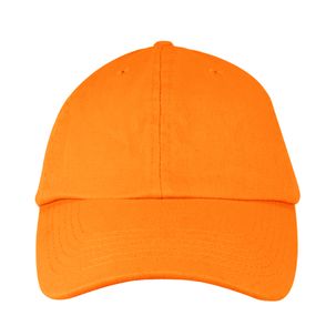 Valucap Bio-Washed Classic Dad Hat