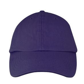 Valucap Bio-Washed Classic Dad Hat
